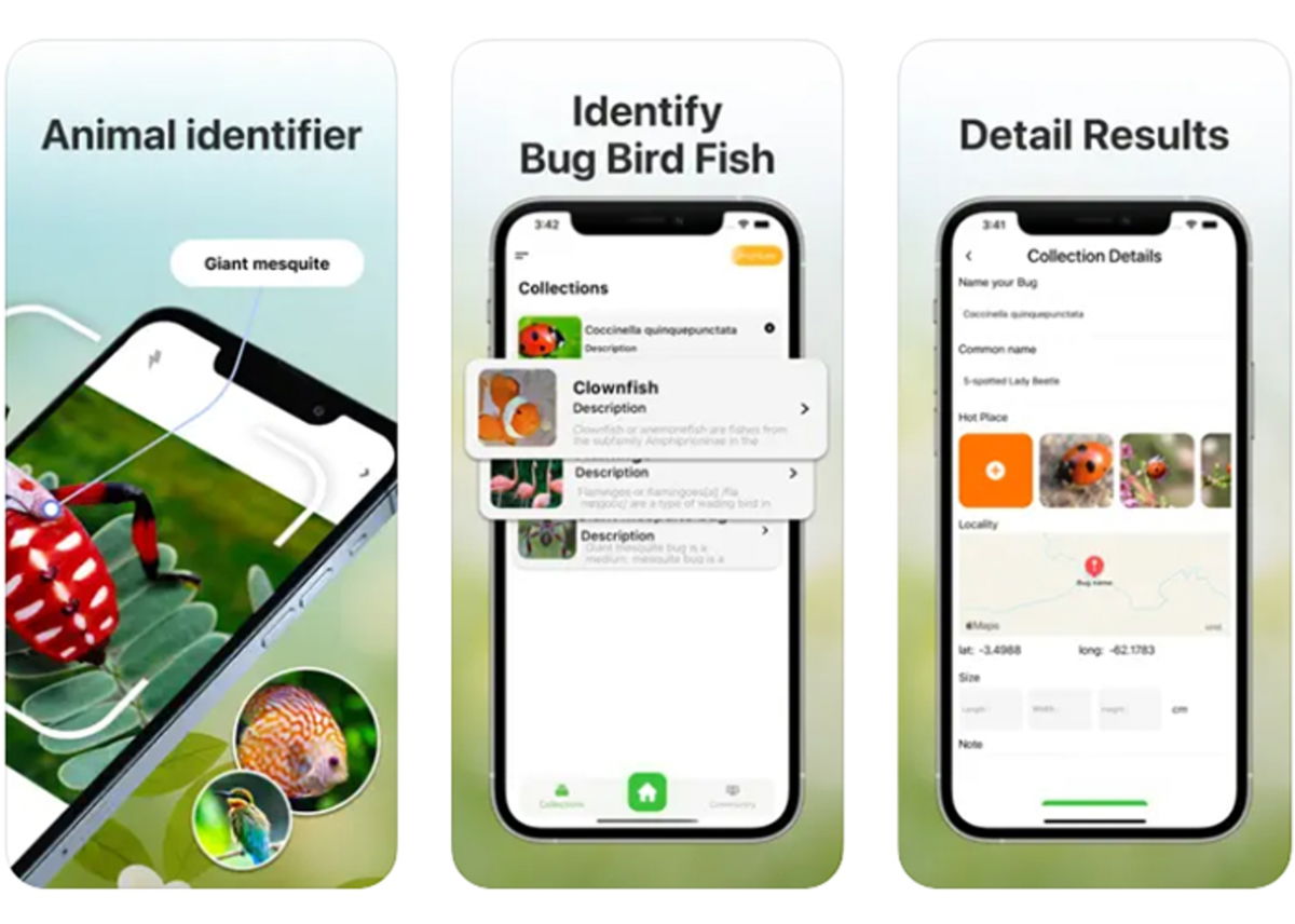 Best apps to identify animals from iPhone GEARRICE