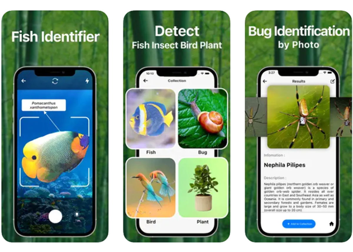 best-apps-to-identify-animals-from-iphone-gearrice