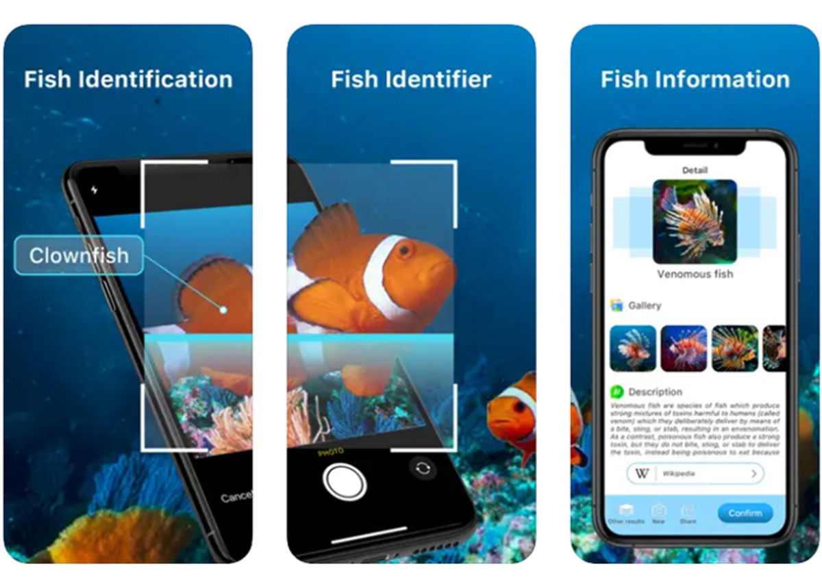 Best apps to identify fish and marine creatures from iPhone Gearrice