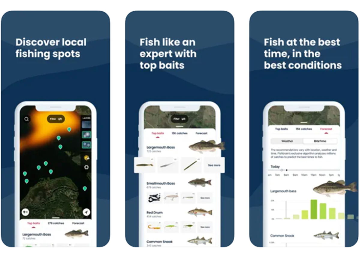 Best apps to identify fish and marine creatures from iPhone Gearrice