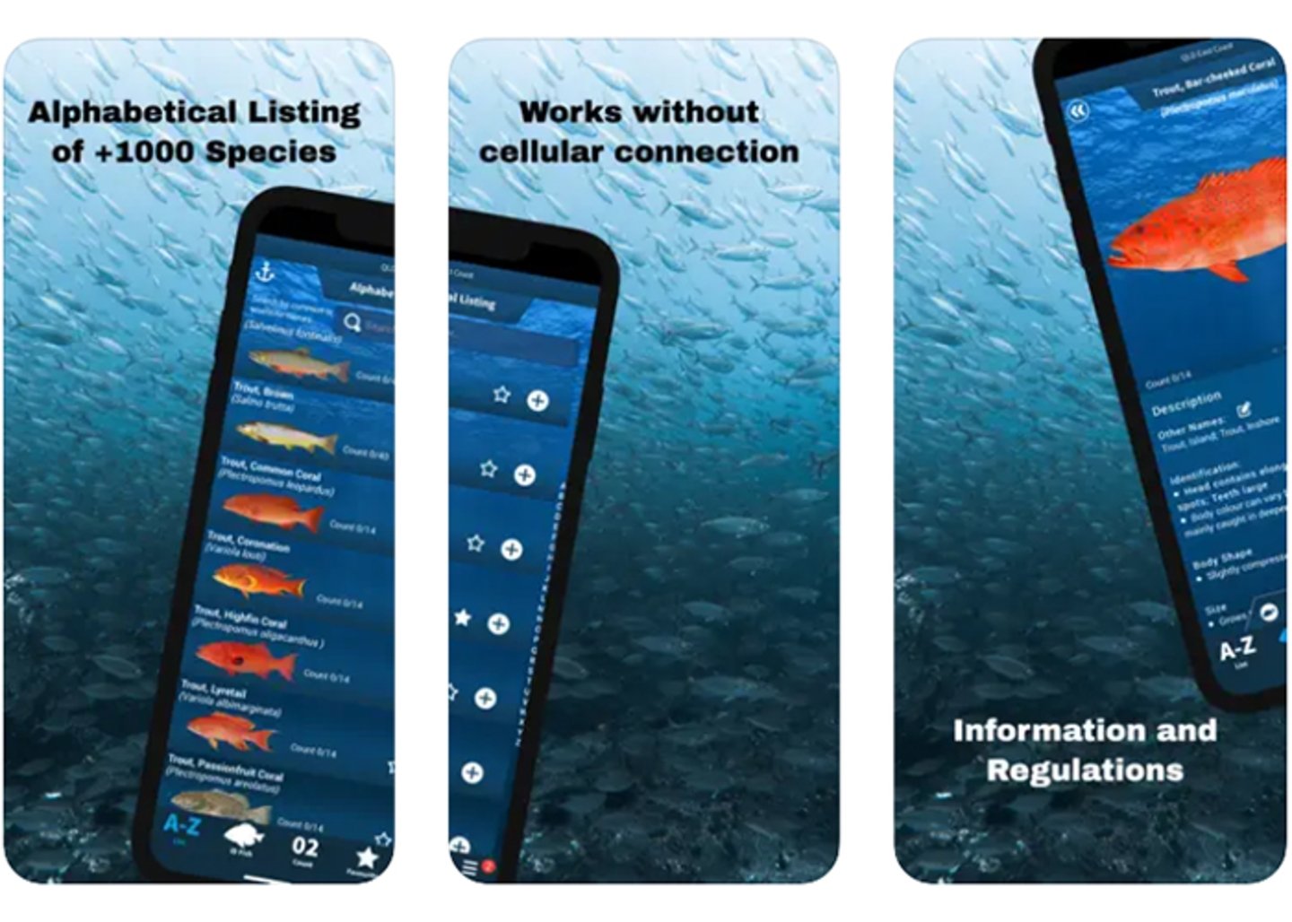 iDfish: sumergete en un mundo digital subacuatico