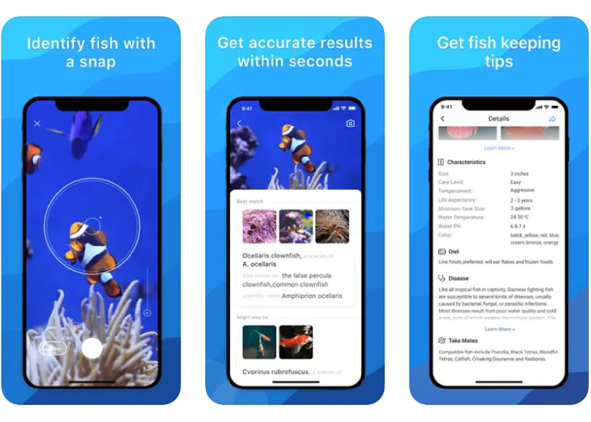 Best apps to identify fish and marine creatures from iPhone Gearrice