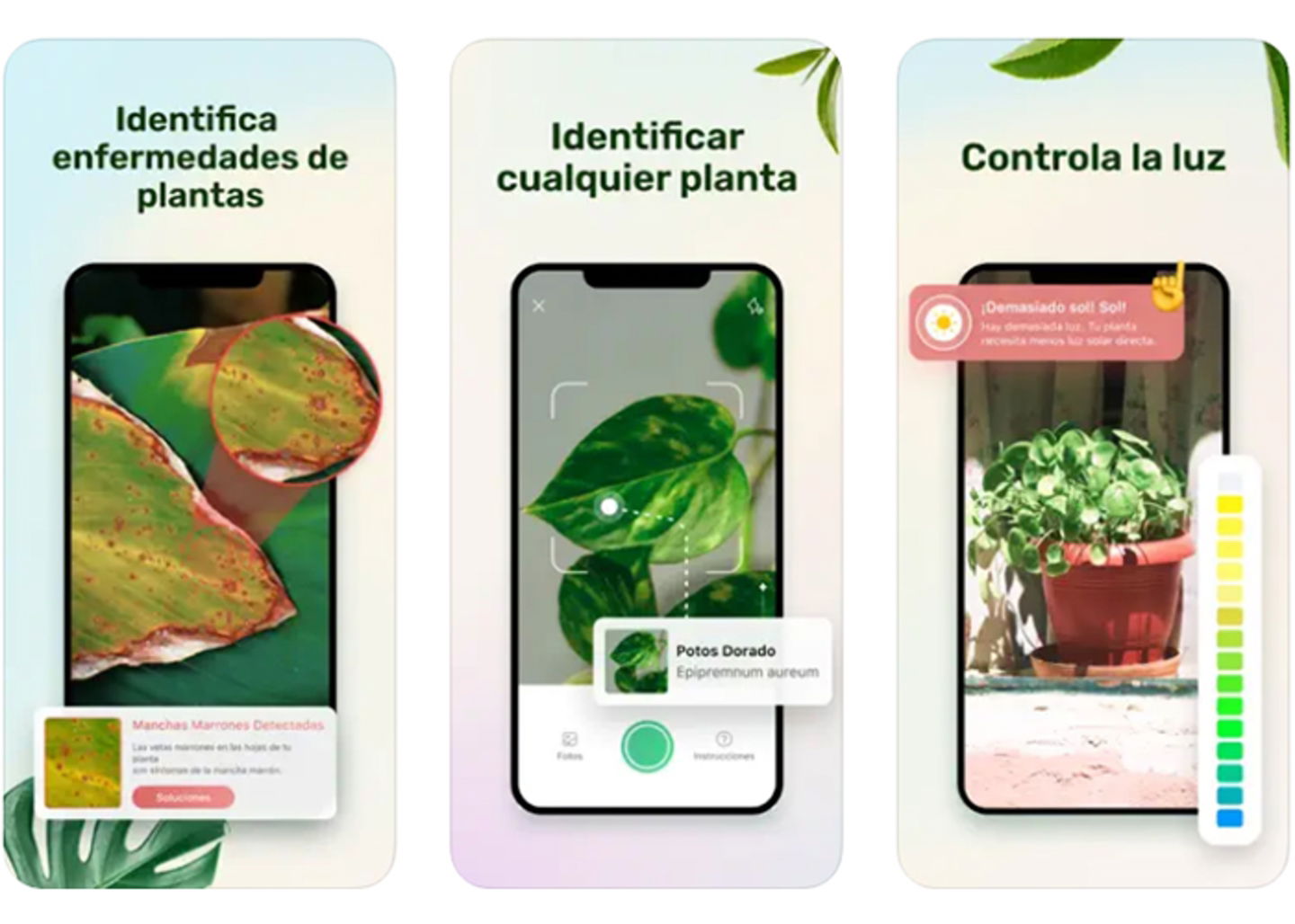 Plant Parent: la guía definitiva para el cuidado de tus plantas