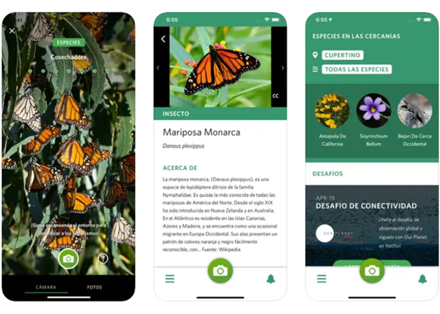 Conviertete en un experto naturalista con Seek por iNaturalist