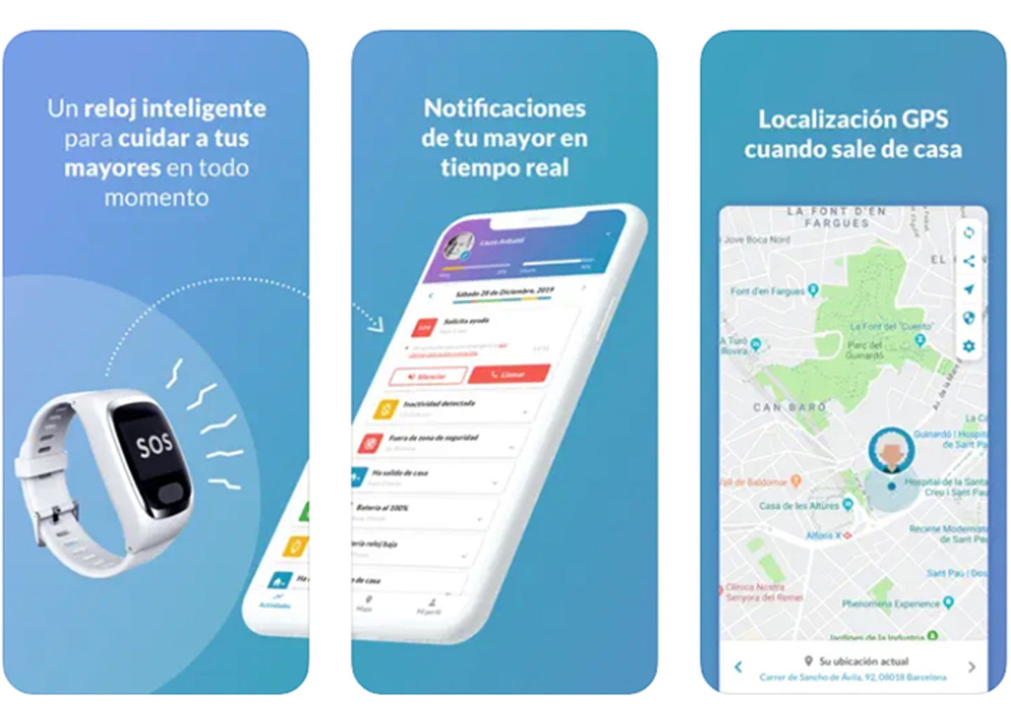 Domio y la salud cerebral - un camino para prevenir el alzheimer