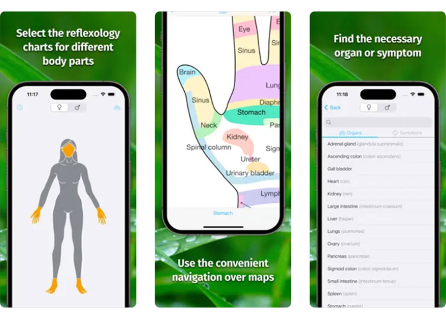Descubre el poder sanador de Massage Maps & Reflexology