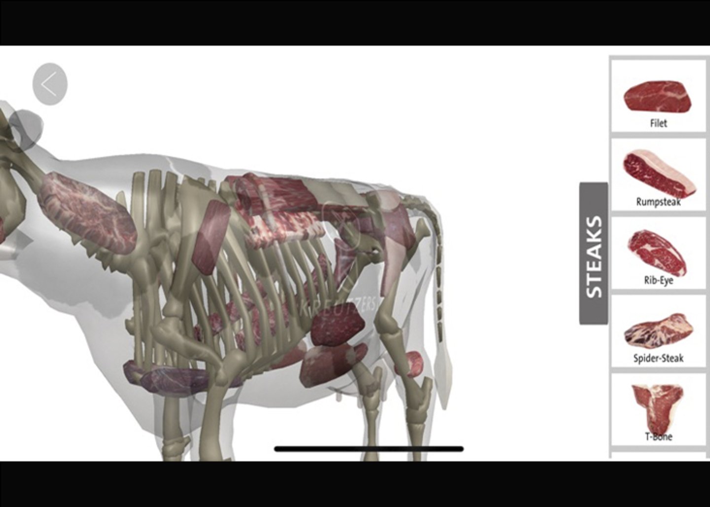 Viaje 3D por los cortes de carne de res- una experiencia sensorial