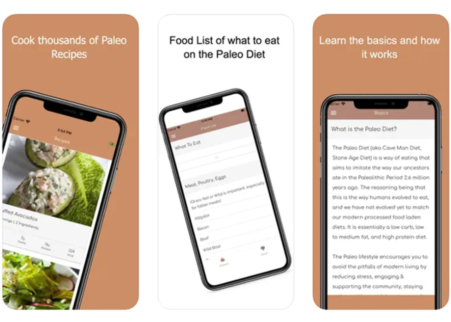 Descifra la dieta paleo- consejos para una vida llena de energia