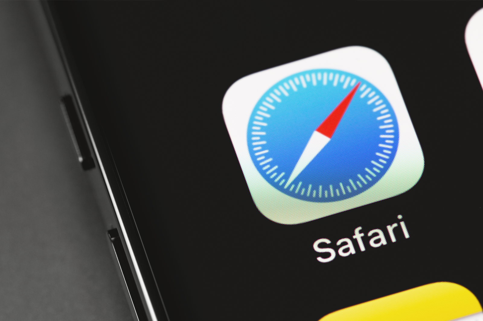 Safari