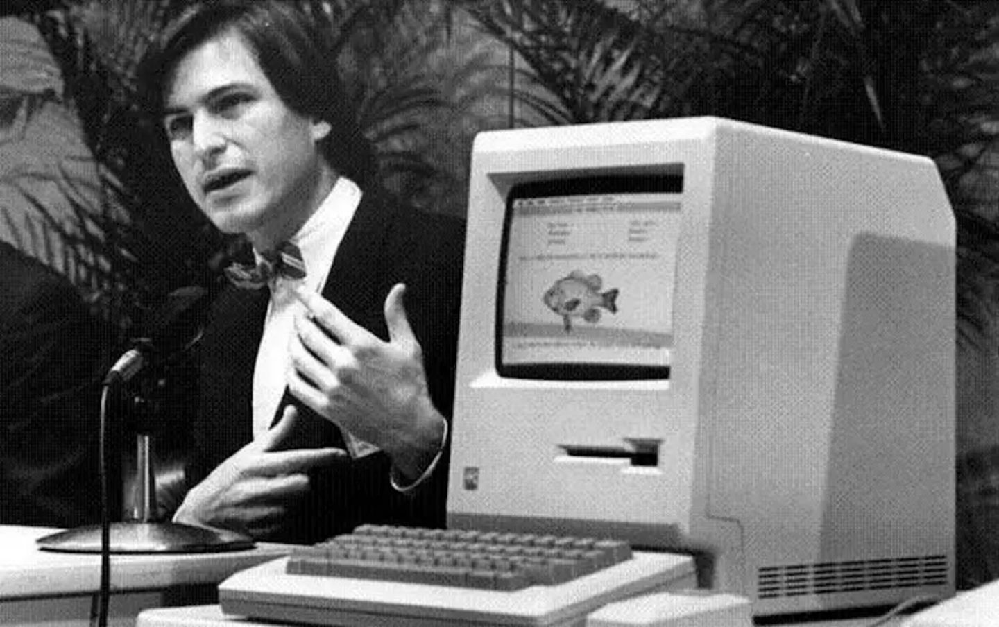 Steve Jobs