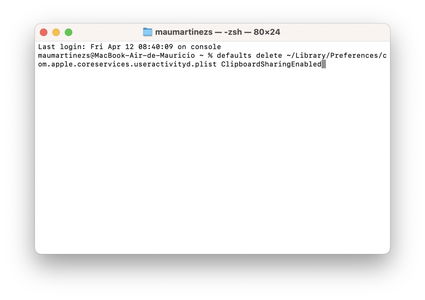 Aplicación Terminal en macOS