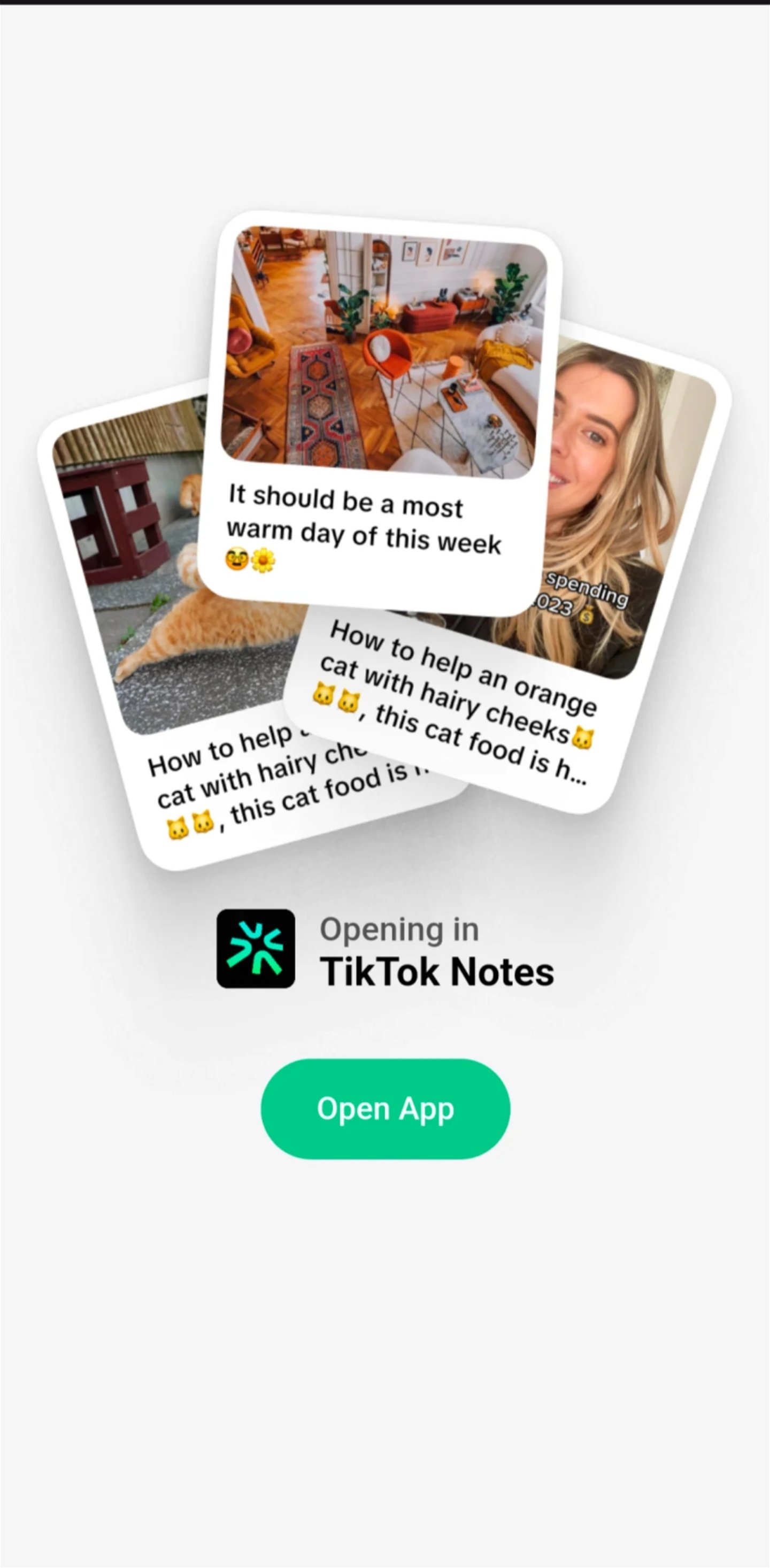 TikTok Notes: así será el "Instagram de TikTok"