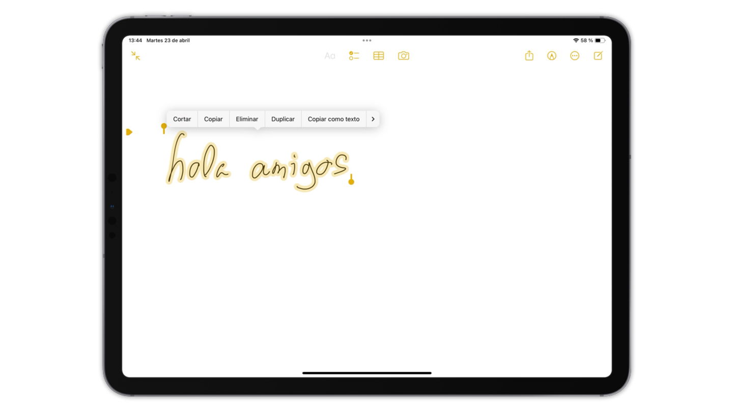Texto manuscrito en el iPad