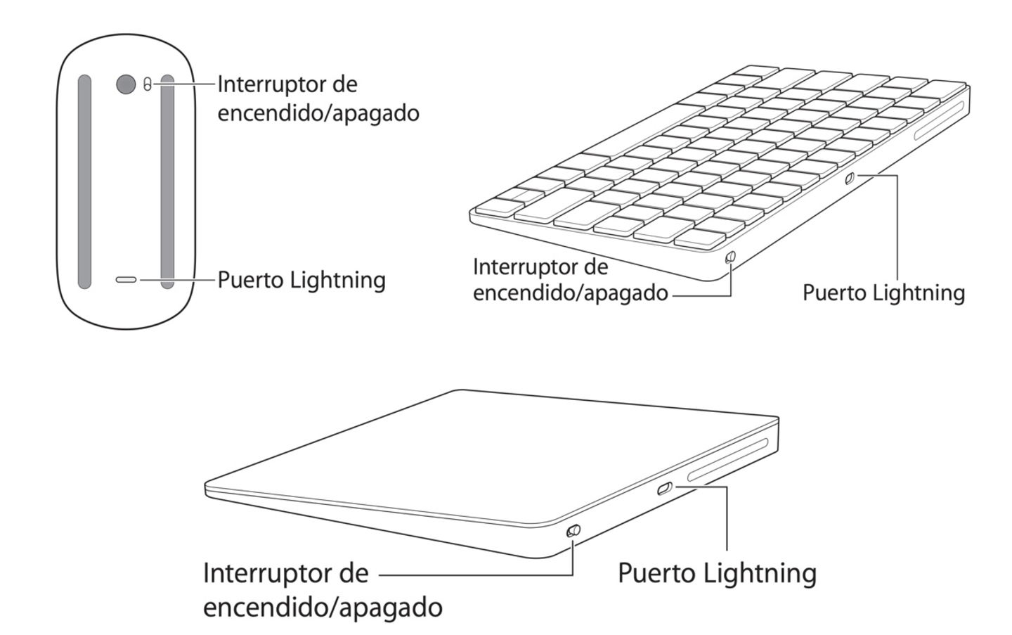 Gráfico de botones y puertos accesorios Magic