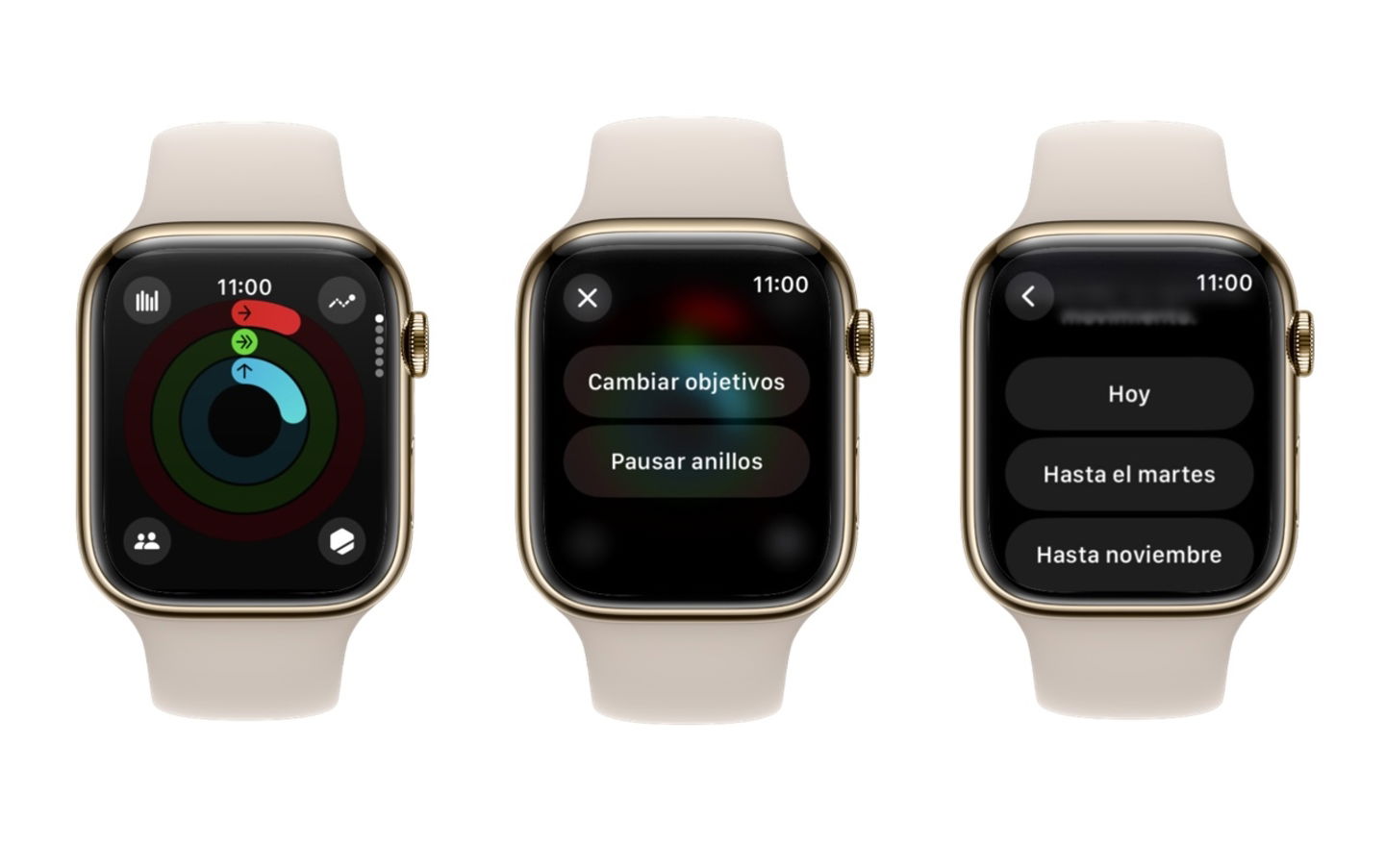 Actualizacion apple watch en pausa sale