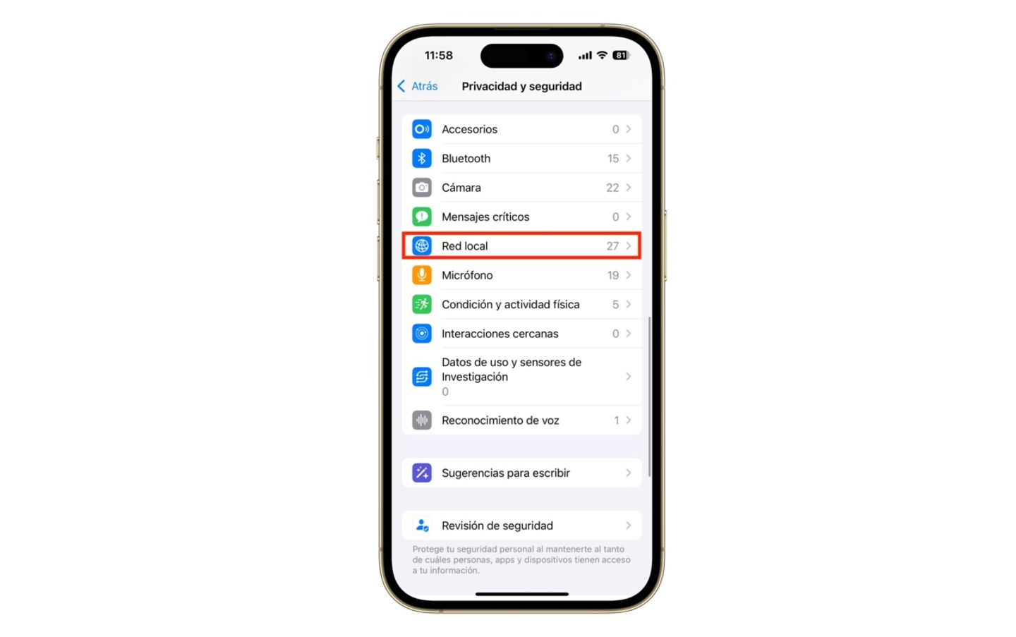 Privacidad y seguridad, red local en apps de iPhone