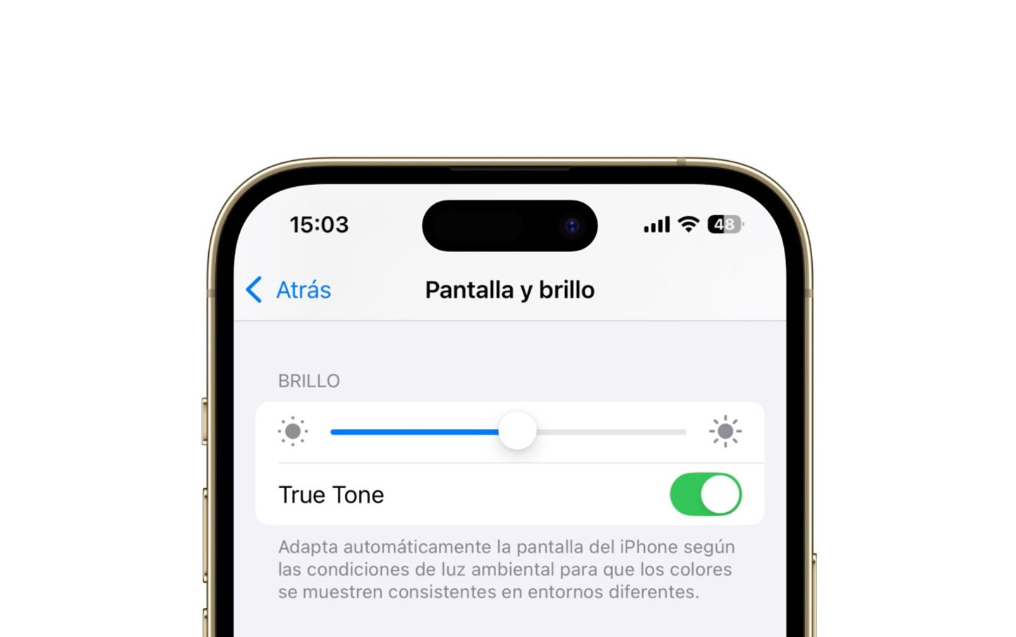 Configuración de iPhone, True Tone en Pantalla y brillo