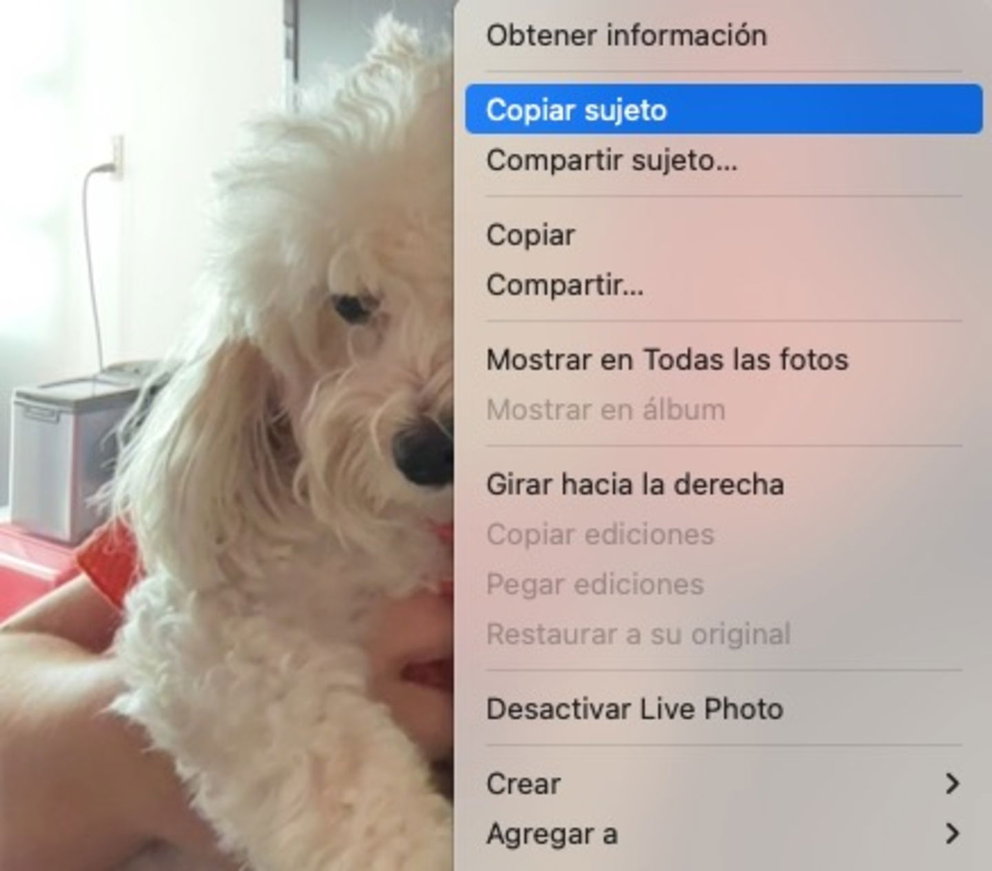 Opción para sacar a una persona, mascota u objeto de una foto en Mac