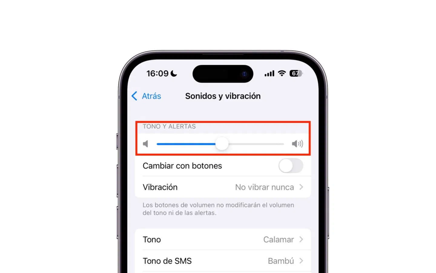 Ajustes de Sonidos y vibración en iPhone