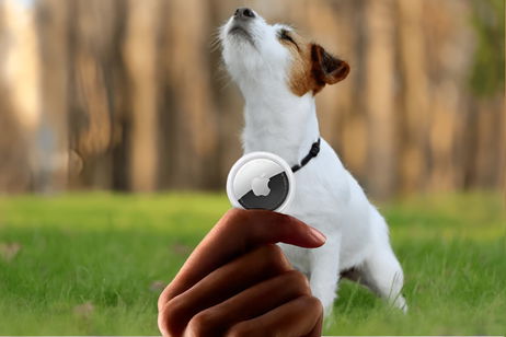 Este perro perdido se ha reunido con su dueño gracias al AirTag de Apple