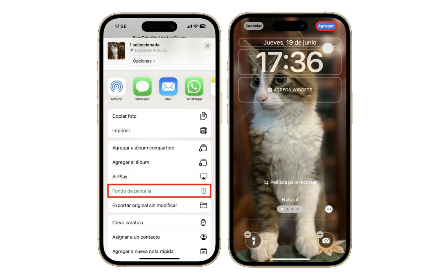 Fondo de pantalla iOS 18