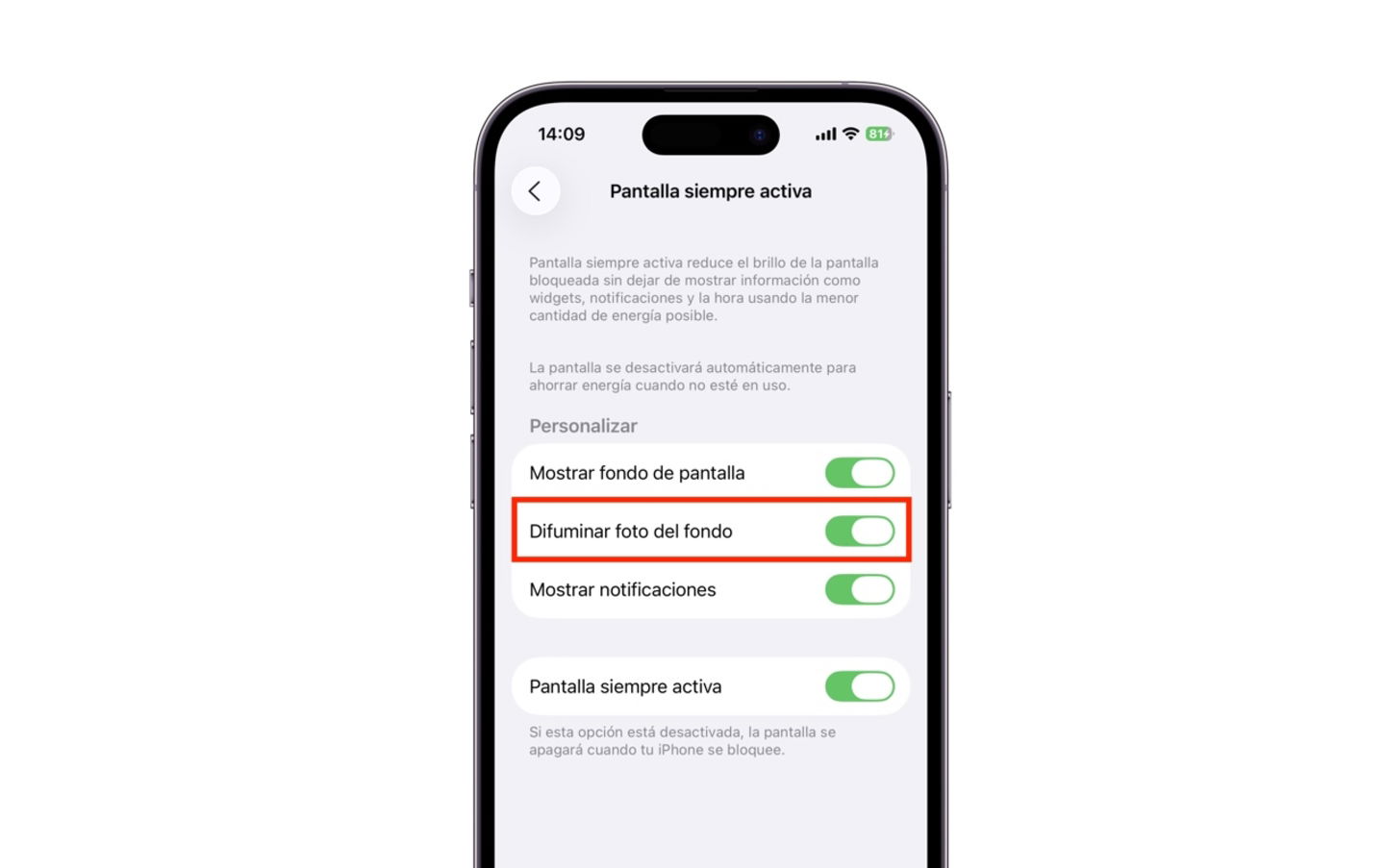 Ajustes de pantalla iPhone