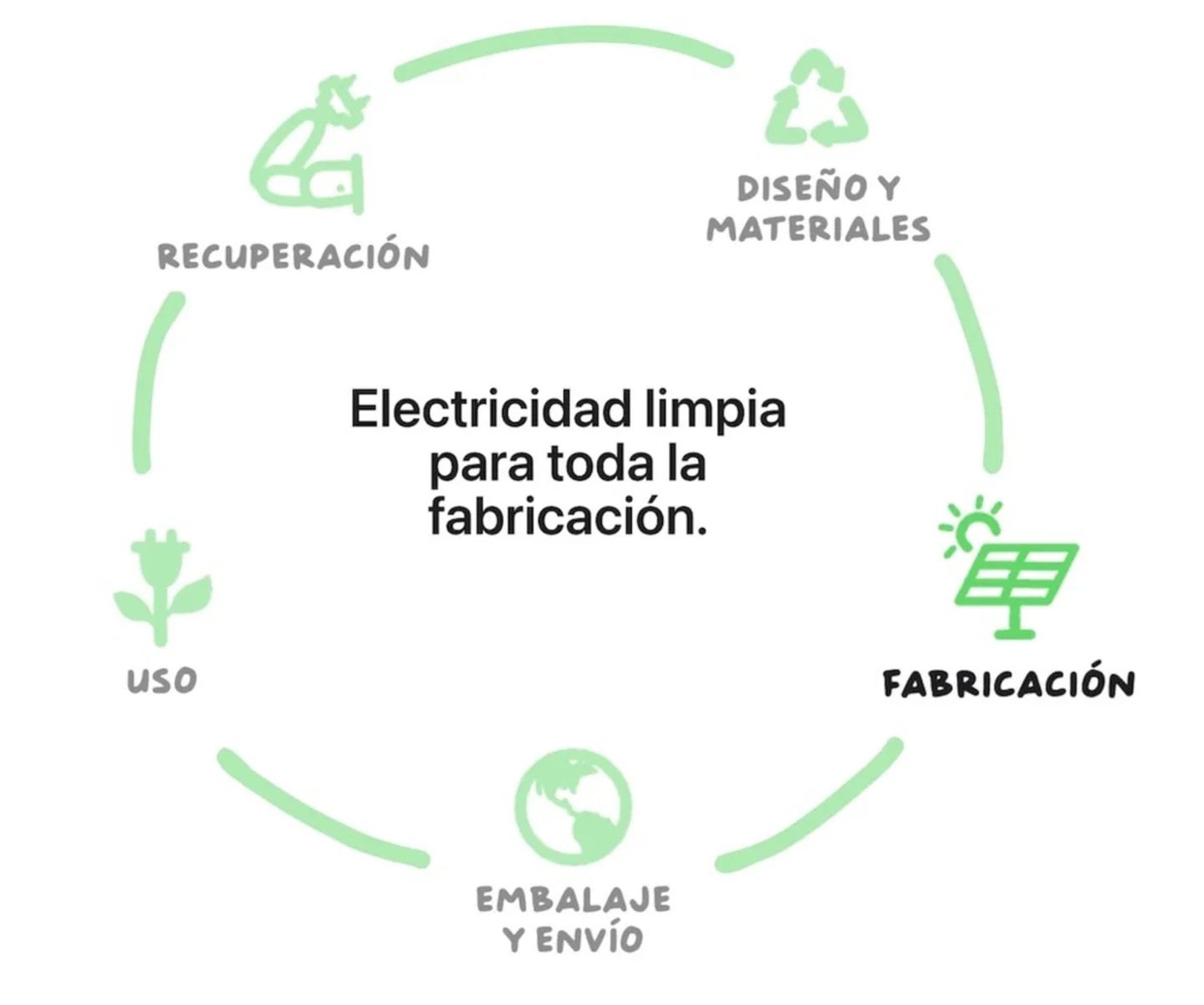 Ciclo