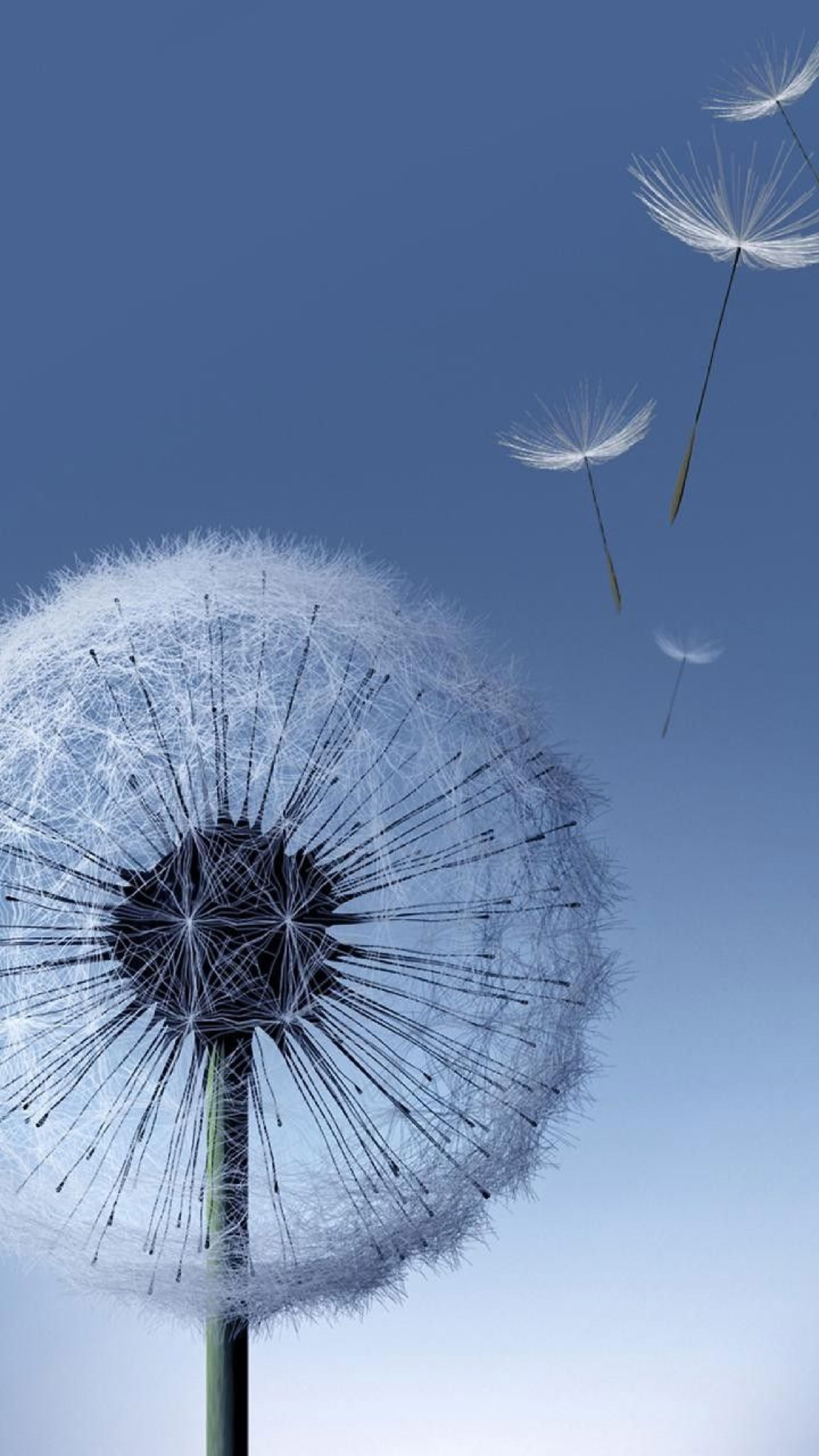 Estos son los 8 wallpapers más icónicos que llegaron junto con algunos de los teléfonos más recordados