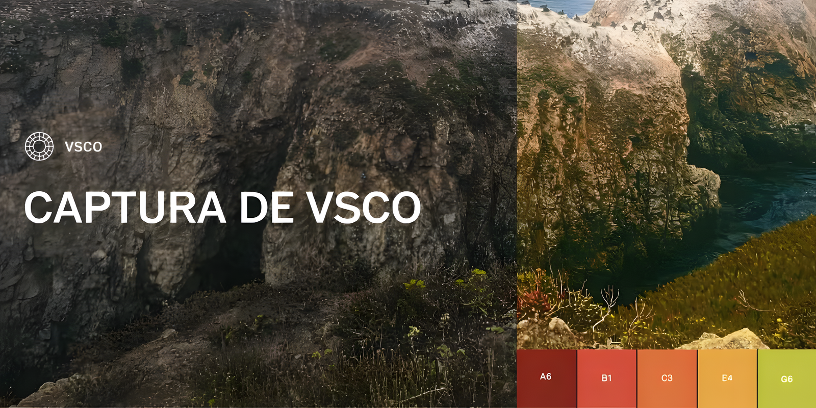 VSCO Cam se actualiza con grabación de vídeo y 50 filtros en tiempo real