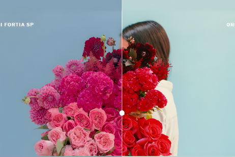 VSCO Cam se actualiza con grabación de vídeo y 50 filtros en tiempo real